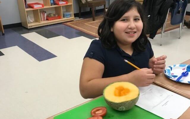 Student dissecting and studying cantaloupe and tomato