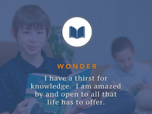 Wonder