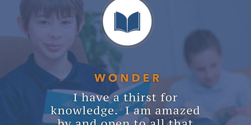Wonder