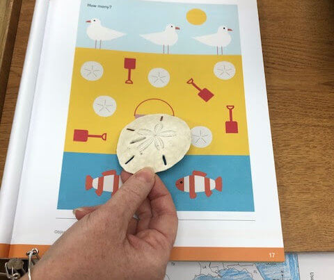 Math book and teacher holding Sand Dollar