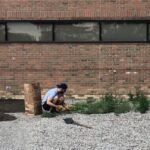 weeding-playground